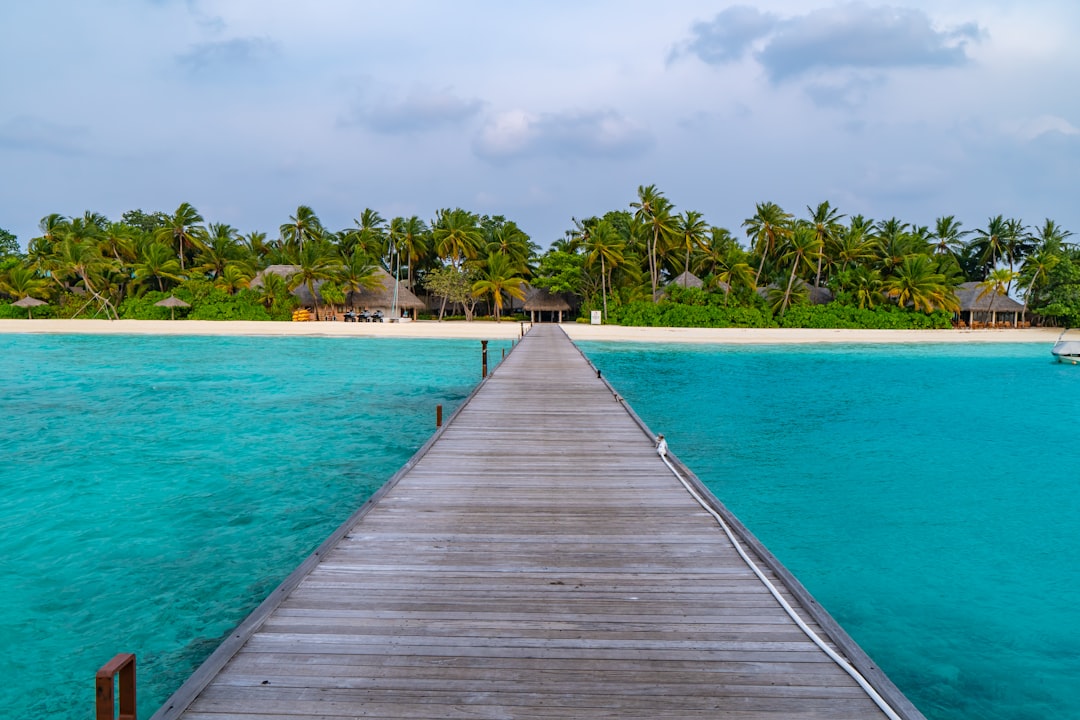 Island