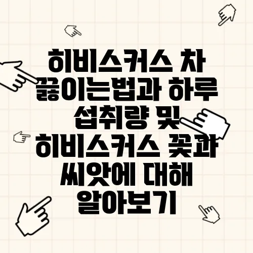 히비스커스 차 끓이는법과 하루 섭취량 및 히비스커스 꽃과 씨앗에 대해 알아보기