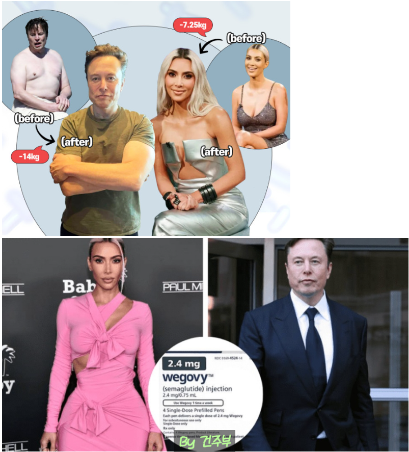 일론머스크도 사용해서 효과를 본 위고비

(글 그림 : 건주부, 그림 출처 : Google)