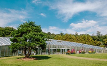 아이랑가기 좋은 곳 - 서울식물원 