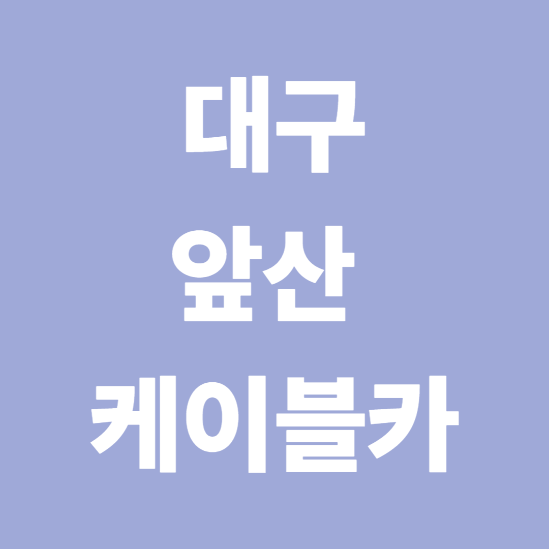 대구 앞산 케이블카