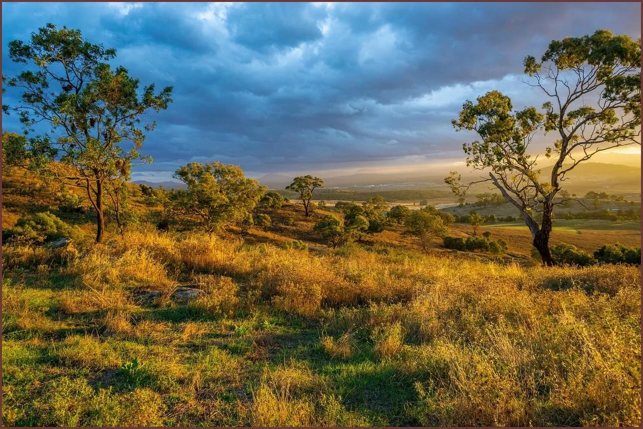 은행 정기예금 금리비교