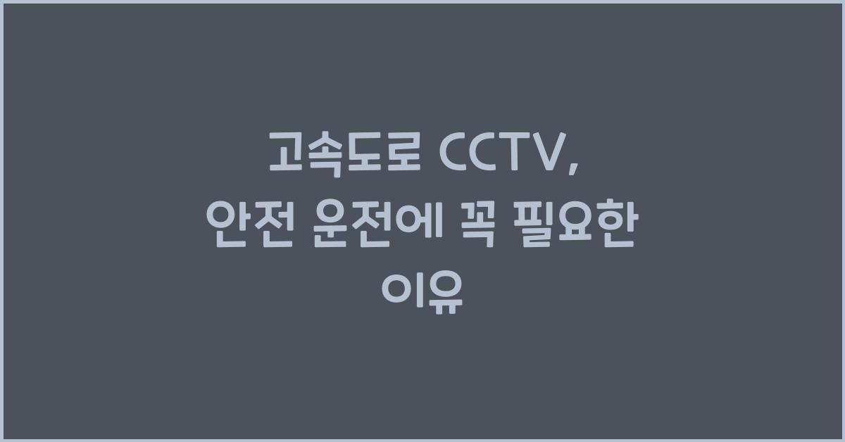 고속도로 cctv