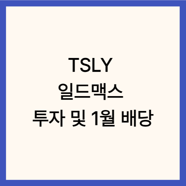 TSLY 일드맥스 투자 및 1월 배당