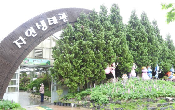 2025 함평 나비 축제 일정부터 주차·입장료까지! 꿀팁 총정리