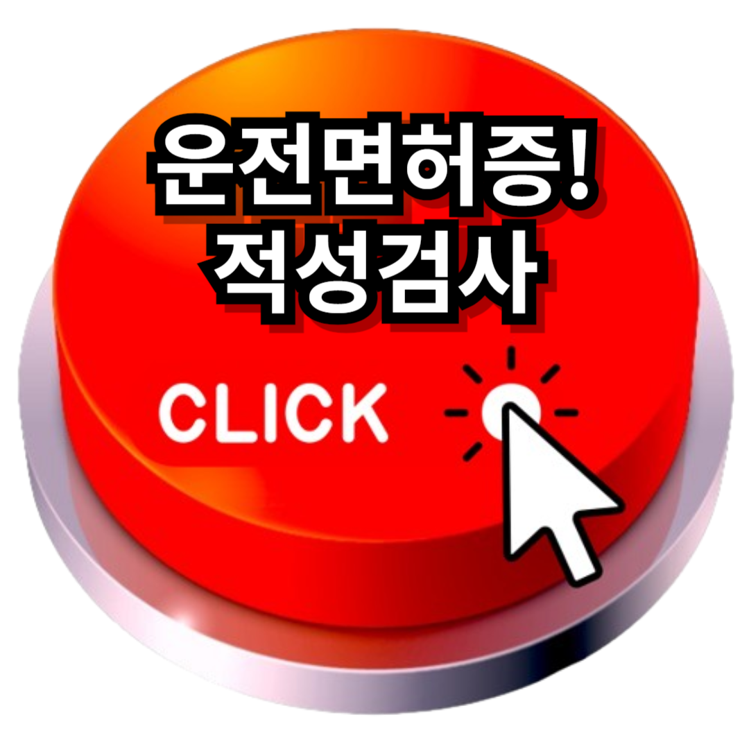 운전면허증 적성검사