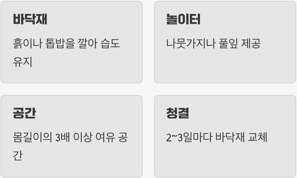 쾌적한 환경, 집 꾸며주기