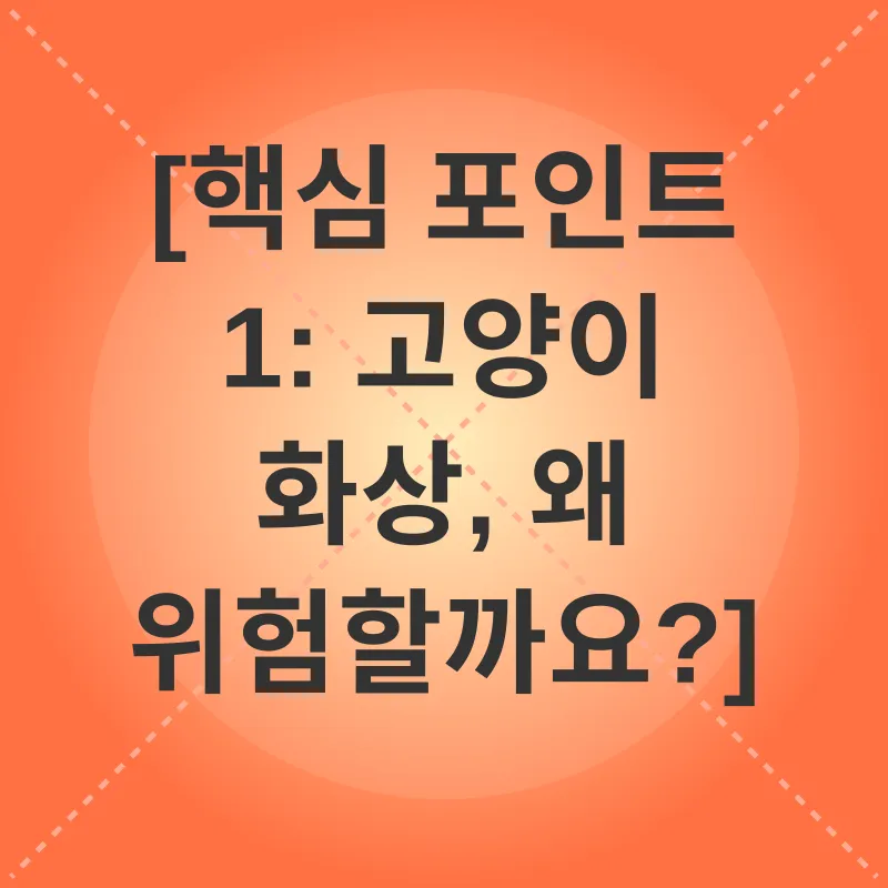 고양이 겨울철 화상 예방_1