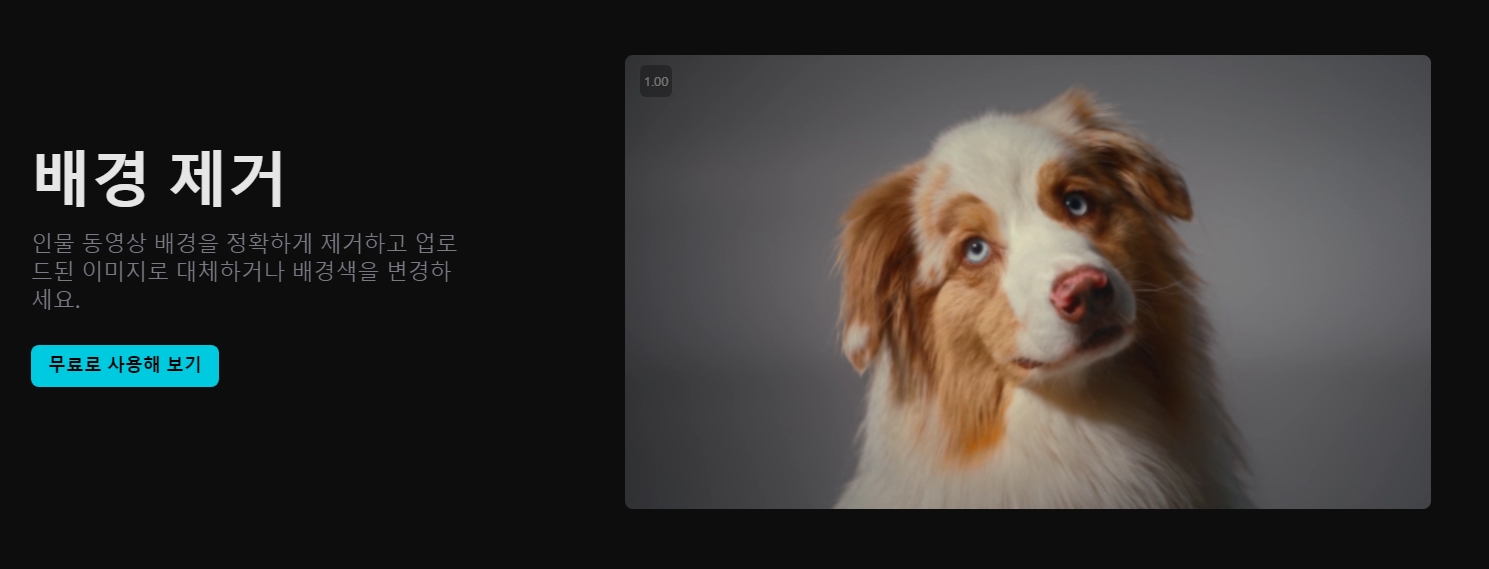 글씨를 입력하면 자연스러운 음성으로 읽어주는 기능