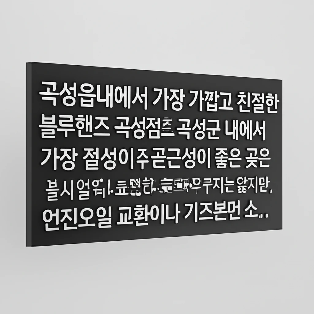 곡성군 현대차 서비스센터 정보와 블루..