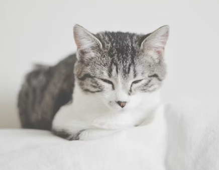 수능 응원 문구