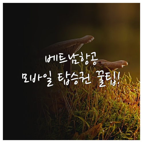 베트남항공 모바일 탑승권 저장 방법과..
