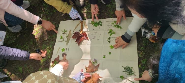 자연 치유와 소리 치료: 자연 소리의 바이오리듬 조절 효과