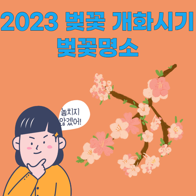 벚꽃 개화시기 명소