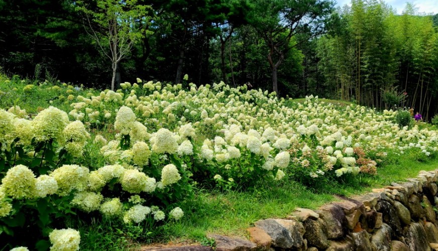 산청 수선사