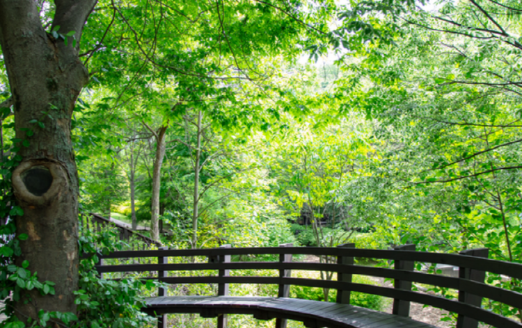 제이드가든 수목원