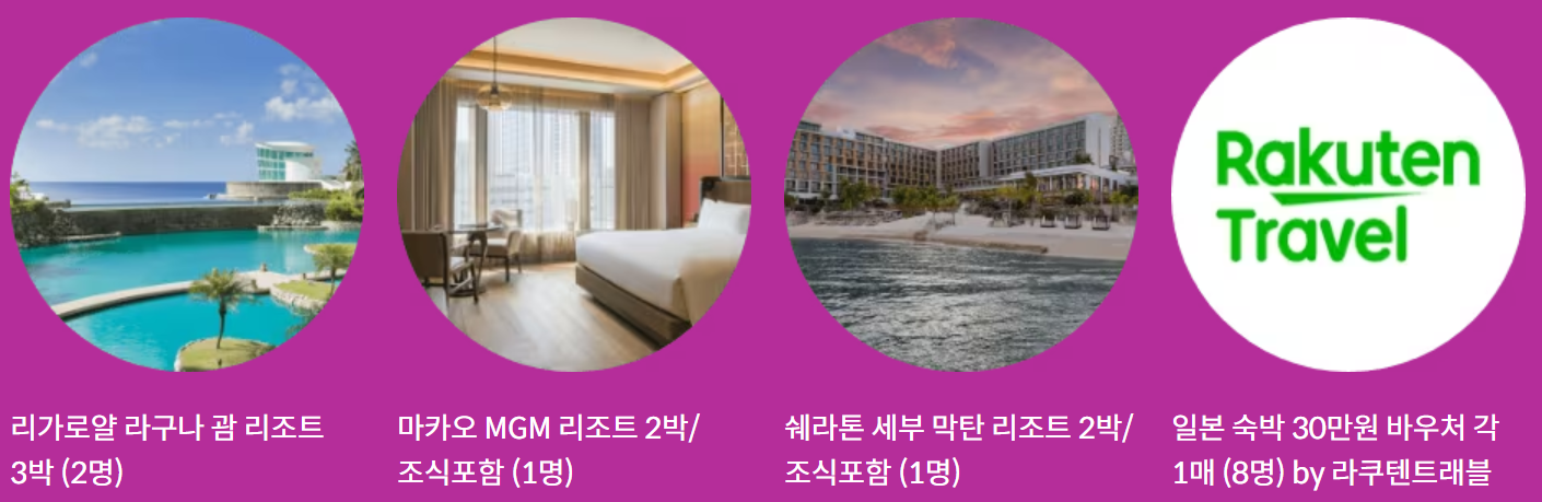 2024 제주항공 얼리버드 찜특가