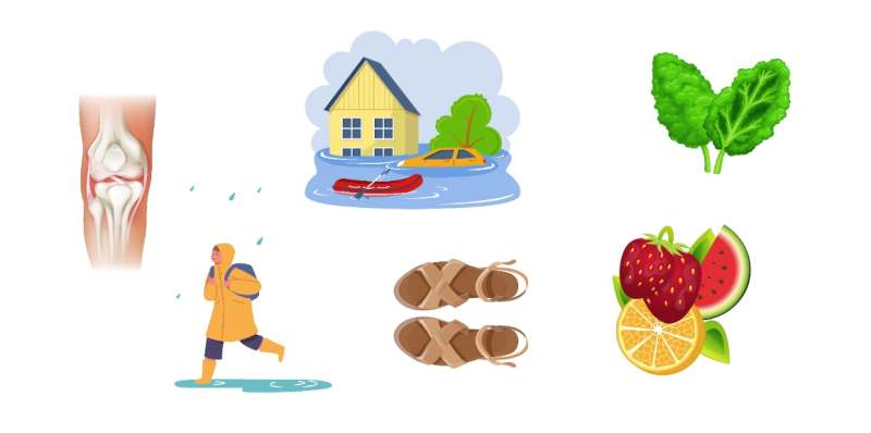 장마 홍수 관절염 샌들 과일 우비 채소