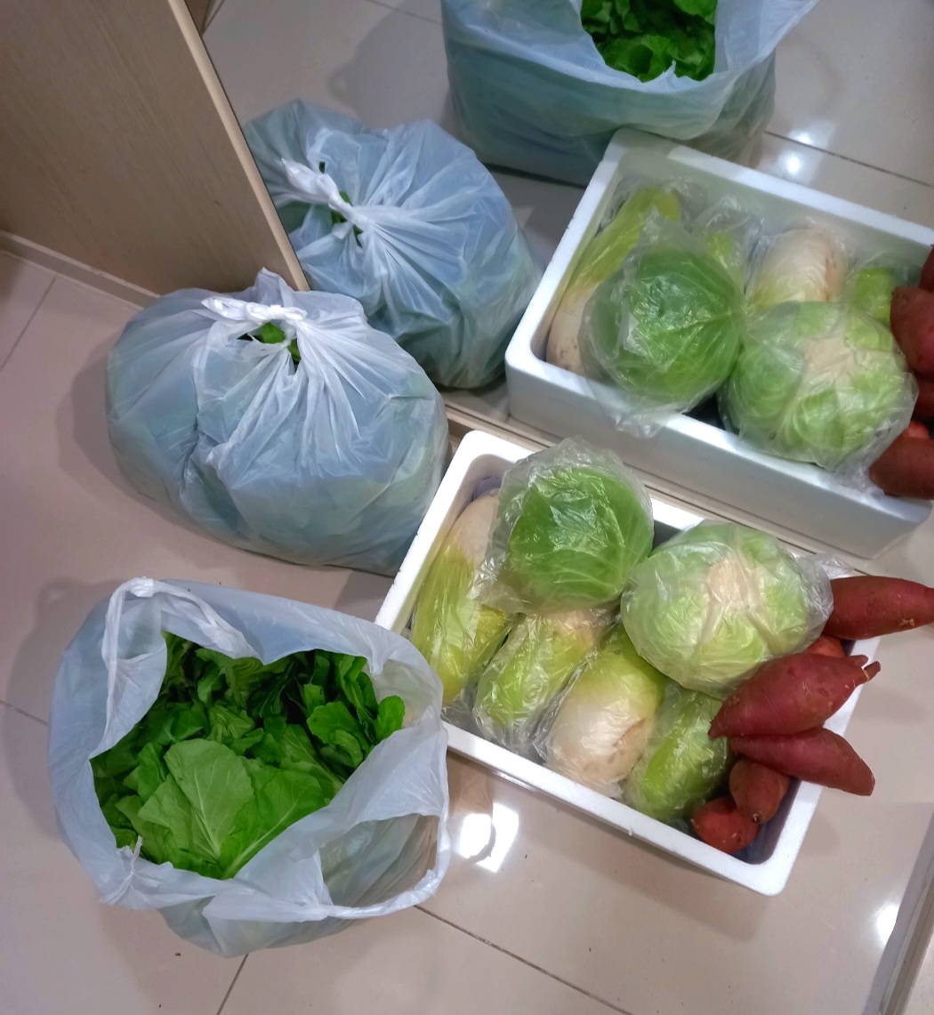 제주도에서-야채를-많이-보내주셨어요.