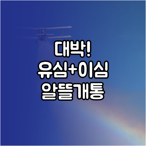 편의점 유심과 eSIM으로 빠르게 알..