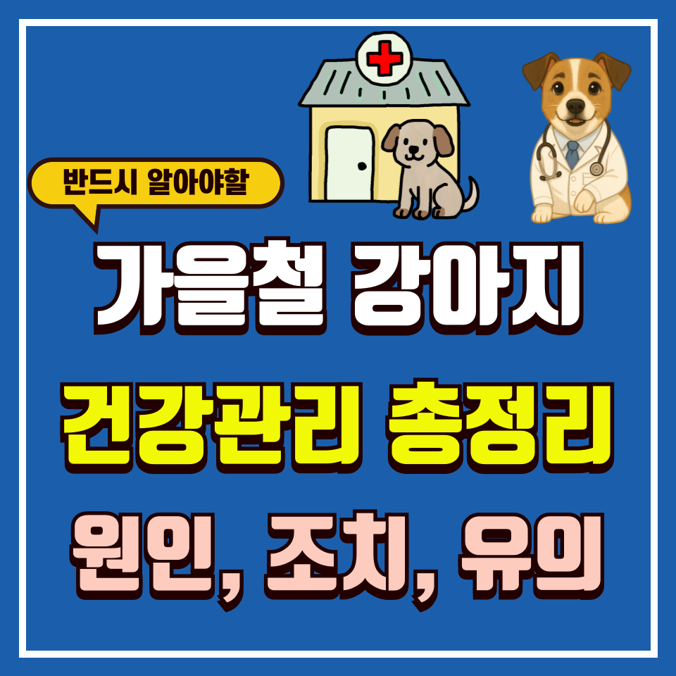 가을철 강아지 건강관리 썸네일