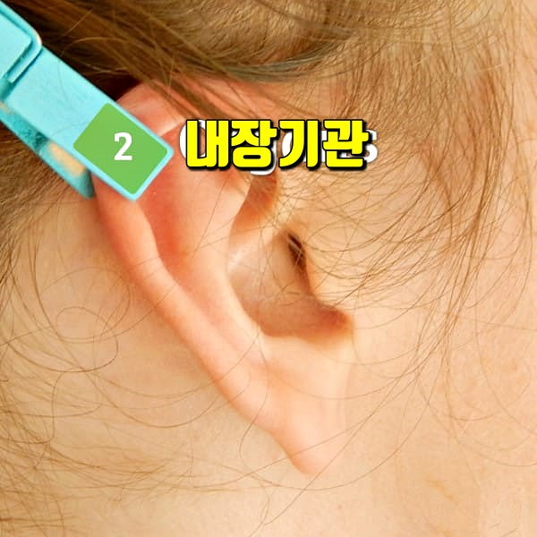 귀 지압점,피로에 좋은 지압법,팁줌