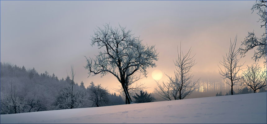 갑자일주 X 임신일주 궁합