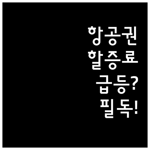 대한항공 아시아나 LCC 국내선 유류..