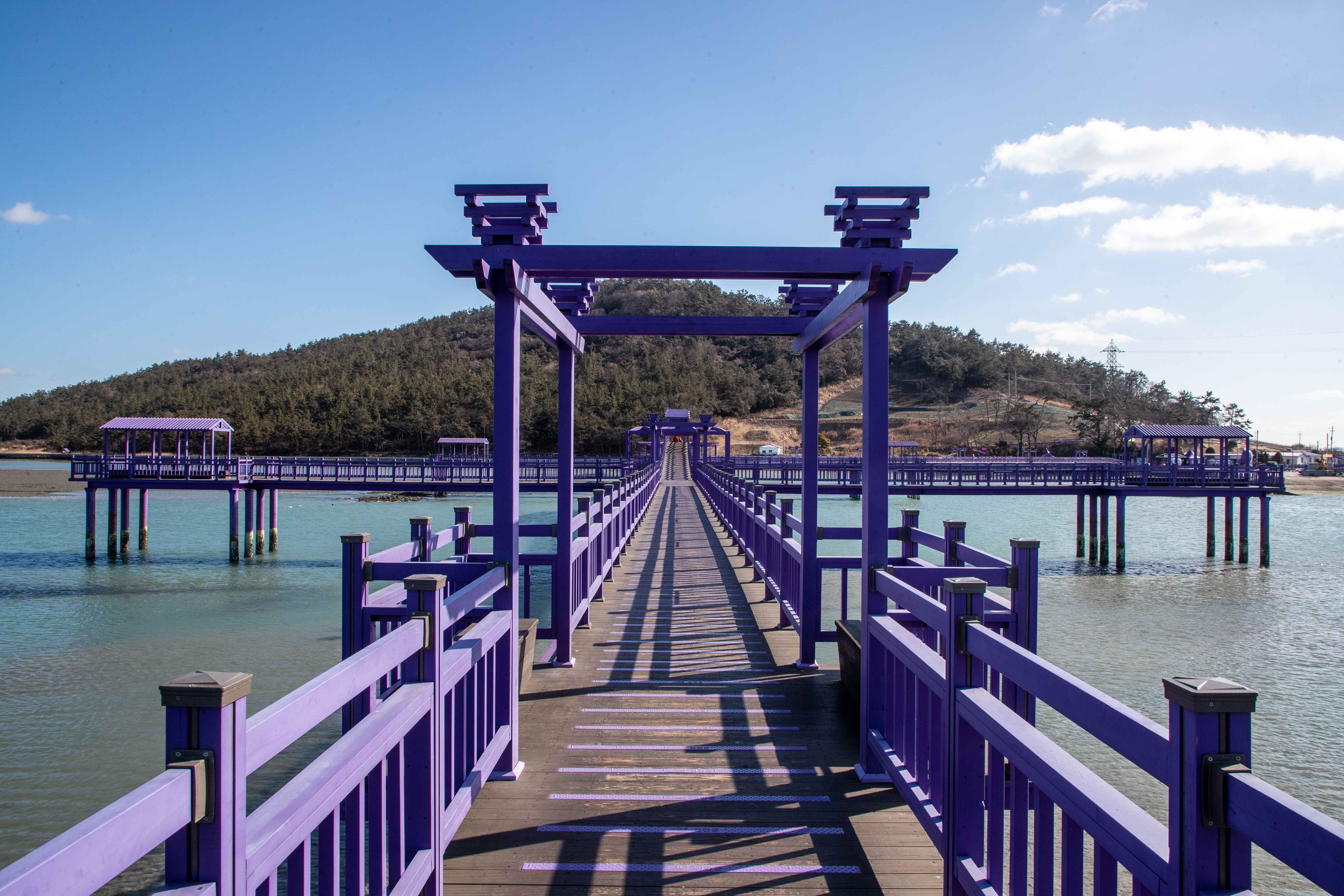 신안 퍼플섬과 퍼플교 사진