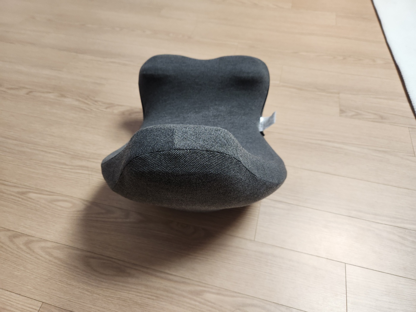 에르고바디 벨라핌 코어 구매 후기