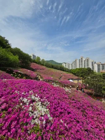 군포 가볼만한곳 베스트10 현지인 추천 필수코스_22