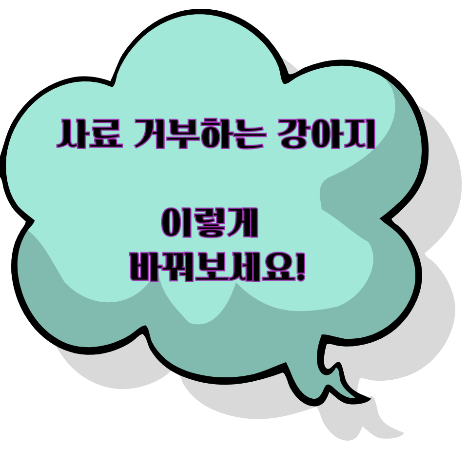 강아지가 사료를 안 먹어요 - 해결책