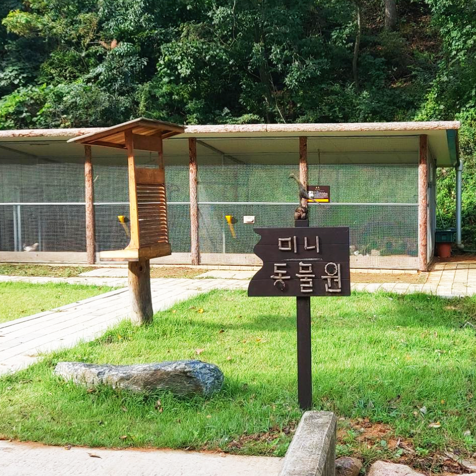 미니동물원 경북 청송 소노벨 미니동물원