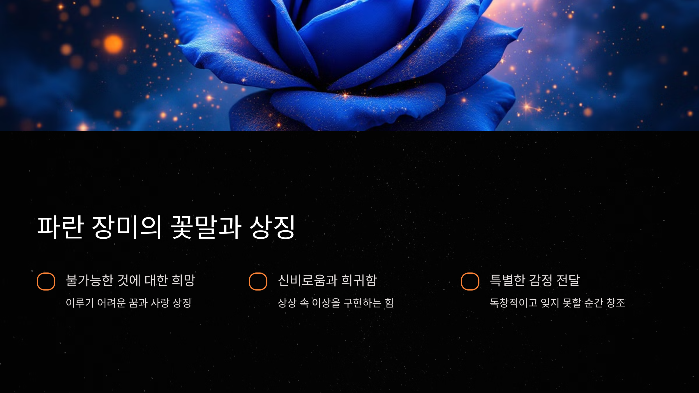 파란 장미의 꽃말과 상징