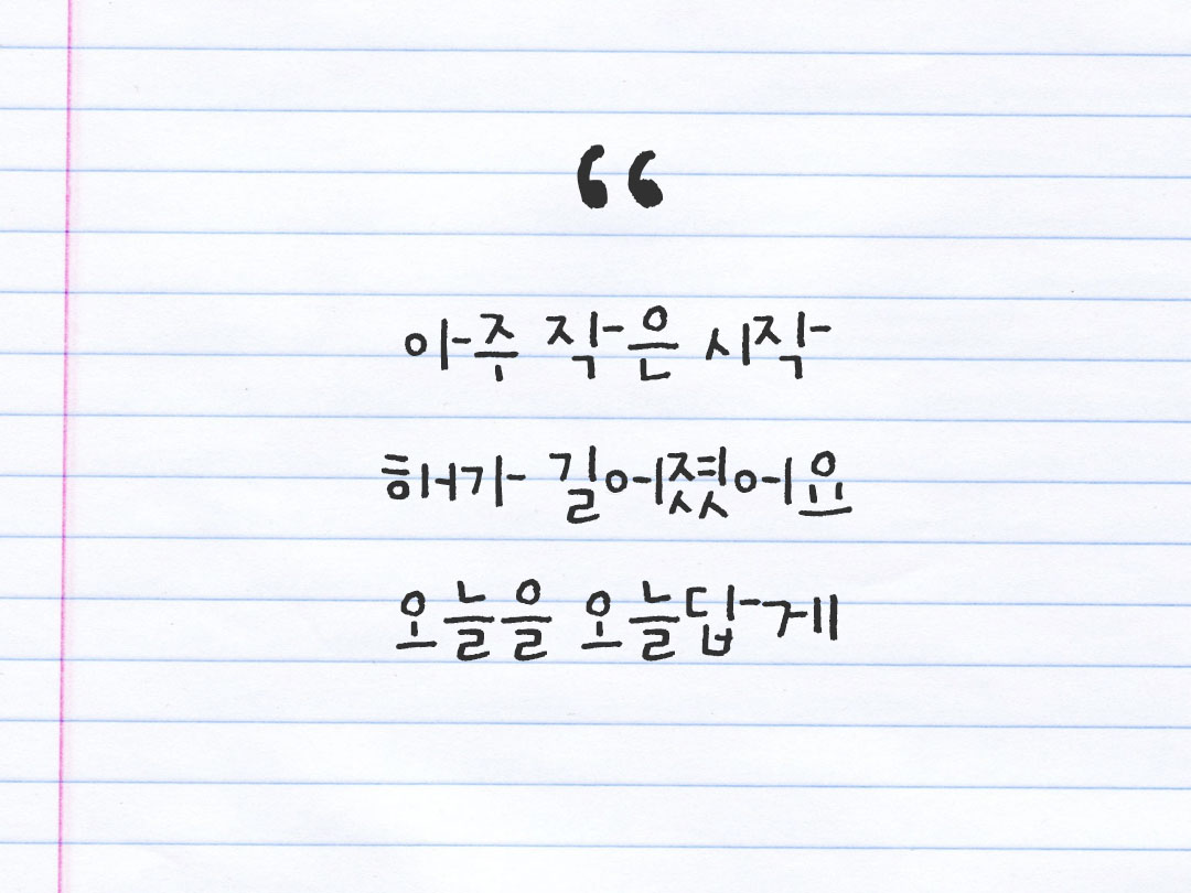 2026년 2월 6일 피어나네 감사노트|일상을 행복으로 바꾸는 기록 하루 3줄 감사일기