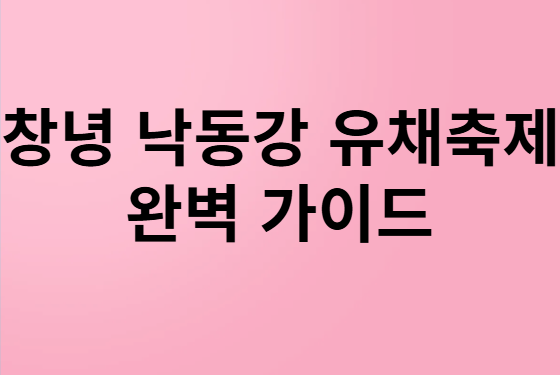 창녕 낙동강 유채축제 완벽 가이드: 대한민국 대표 봄꽃 축제