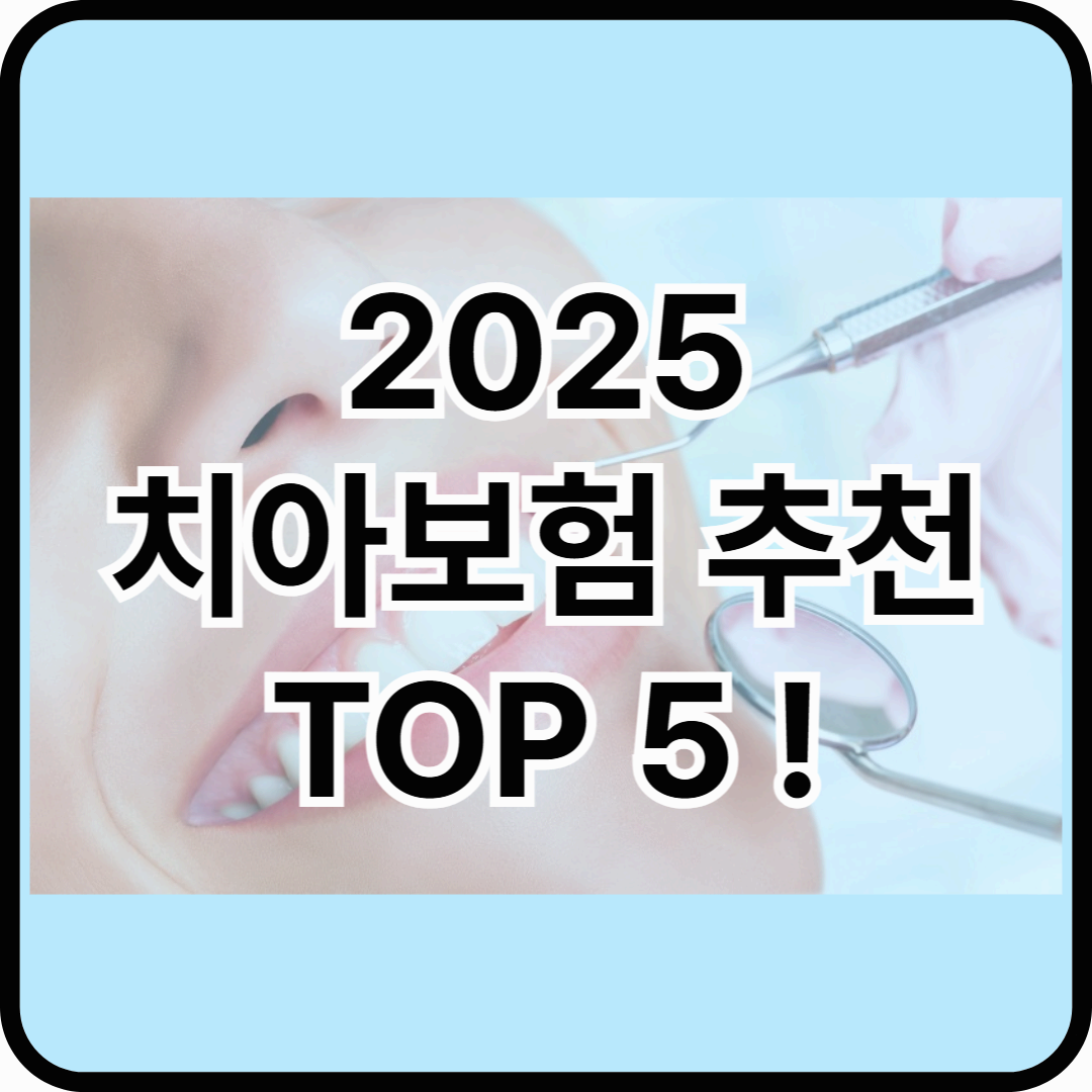 2025 치아보험 추천 TOP 5 ! 비교해보기