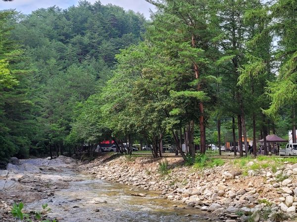 금강송캠핑장_계곡길