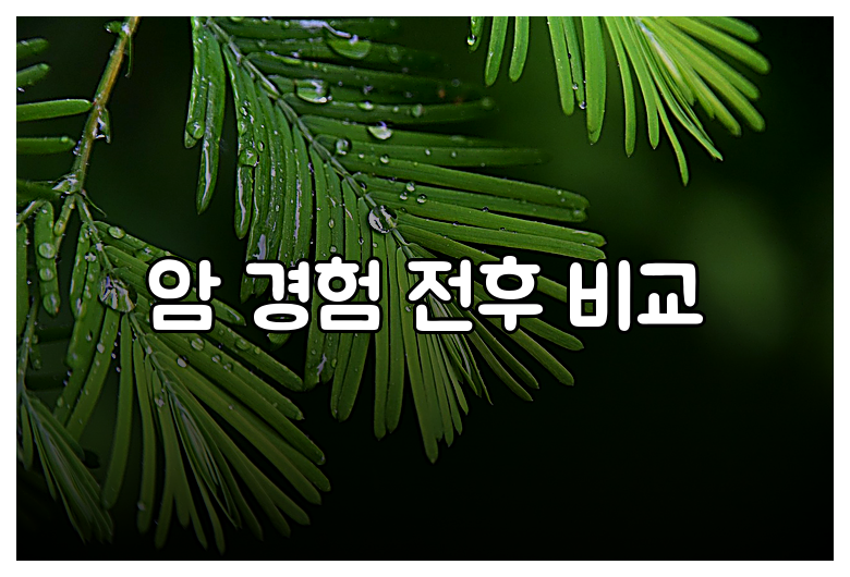 암 경험 전후 비교