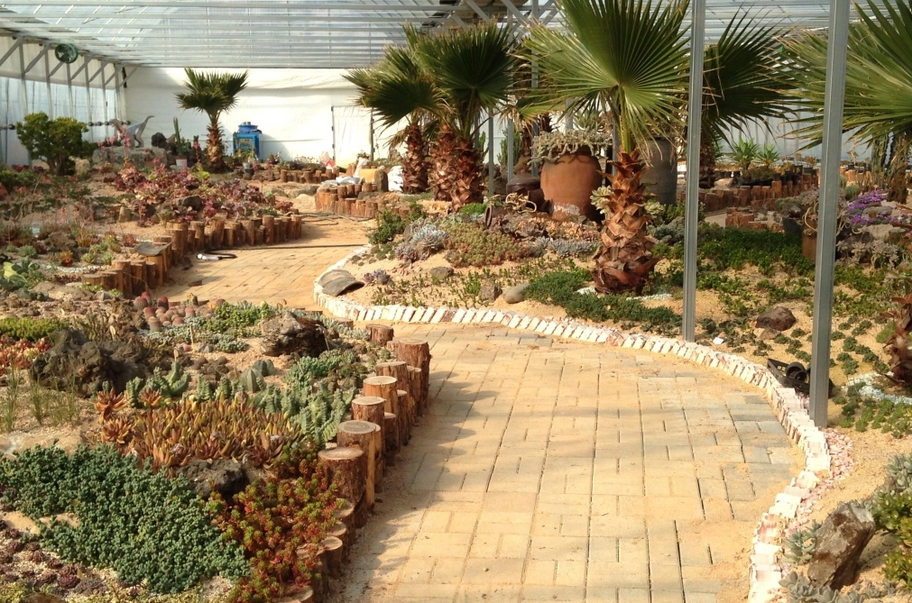 덕평공룡수목원-입장료-운영시간-총정리-이천-가볼만한-곳