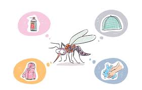 🚫 해충박사가 알려주는 러브버그 퇴치법 BEST 6