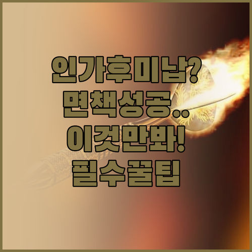 개인회생 인가 후 미납 관리 및 성공..