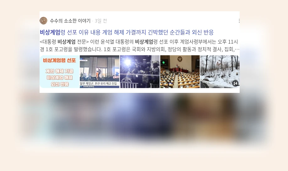 비상계엄_2_subsection