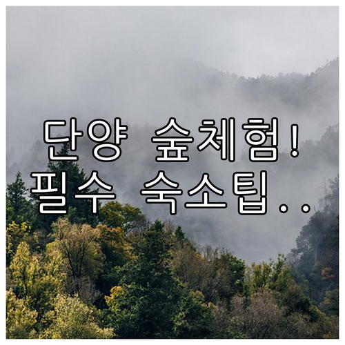 단양 숲체험 초보자 준비물 계절별 옷..