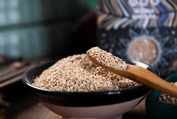 완벽한단백질음식-퀴노아