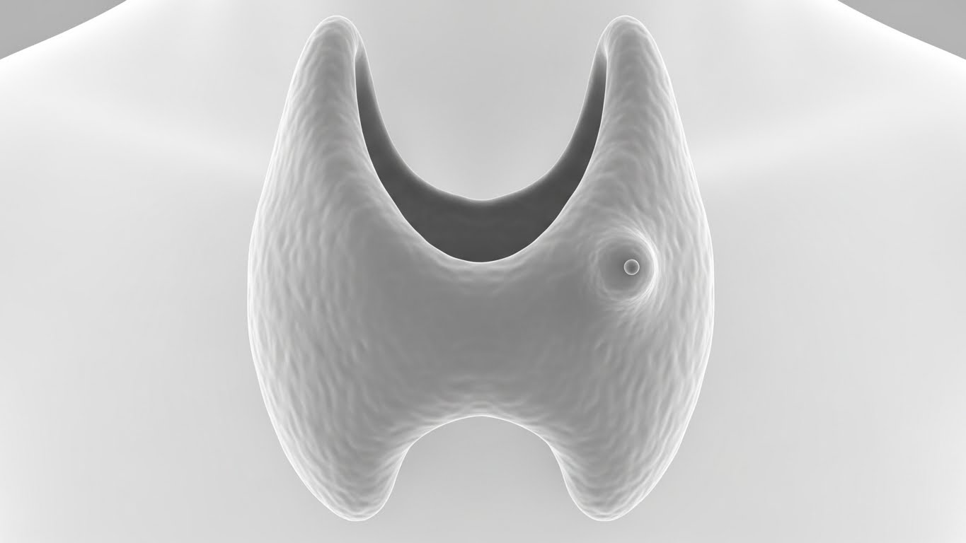 갑상선암 증상 미리 알아두세요