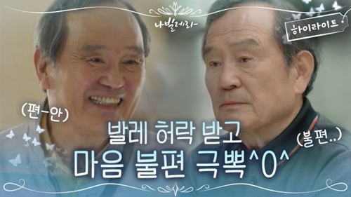 나빌레라 뜻 이미지 입니다.