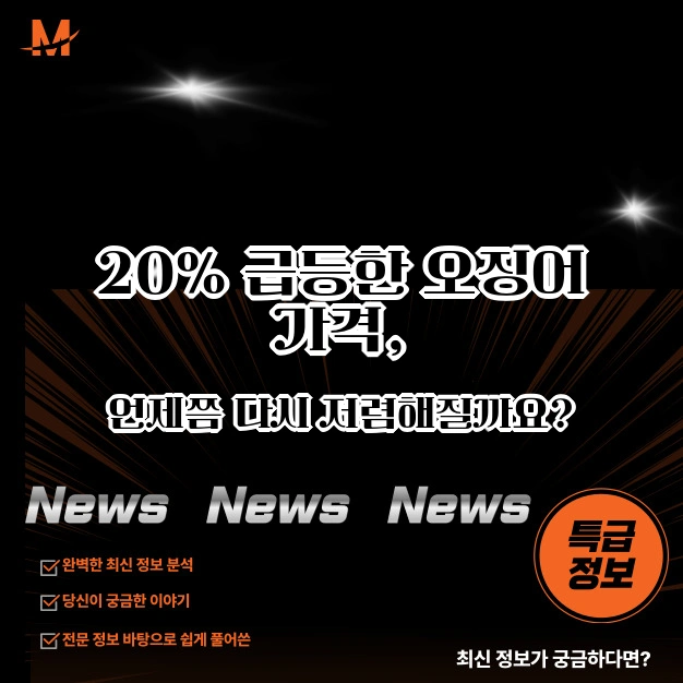 오징어 가격