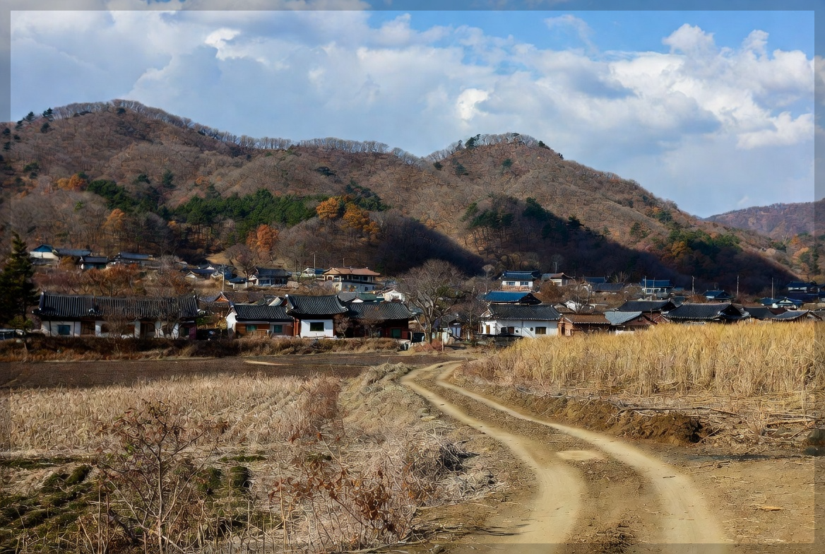 친환경 농업 직불금