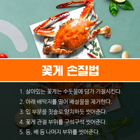 꽃게 금어기